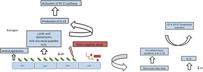 Diversity of Vaginal Microbiome in Pregnancy: Deciphering the <mark class="highlighted">Obscurity</mark>